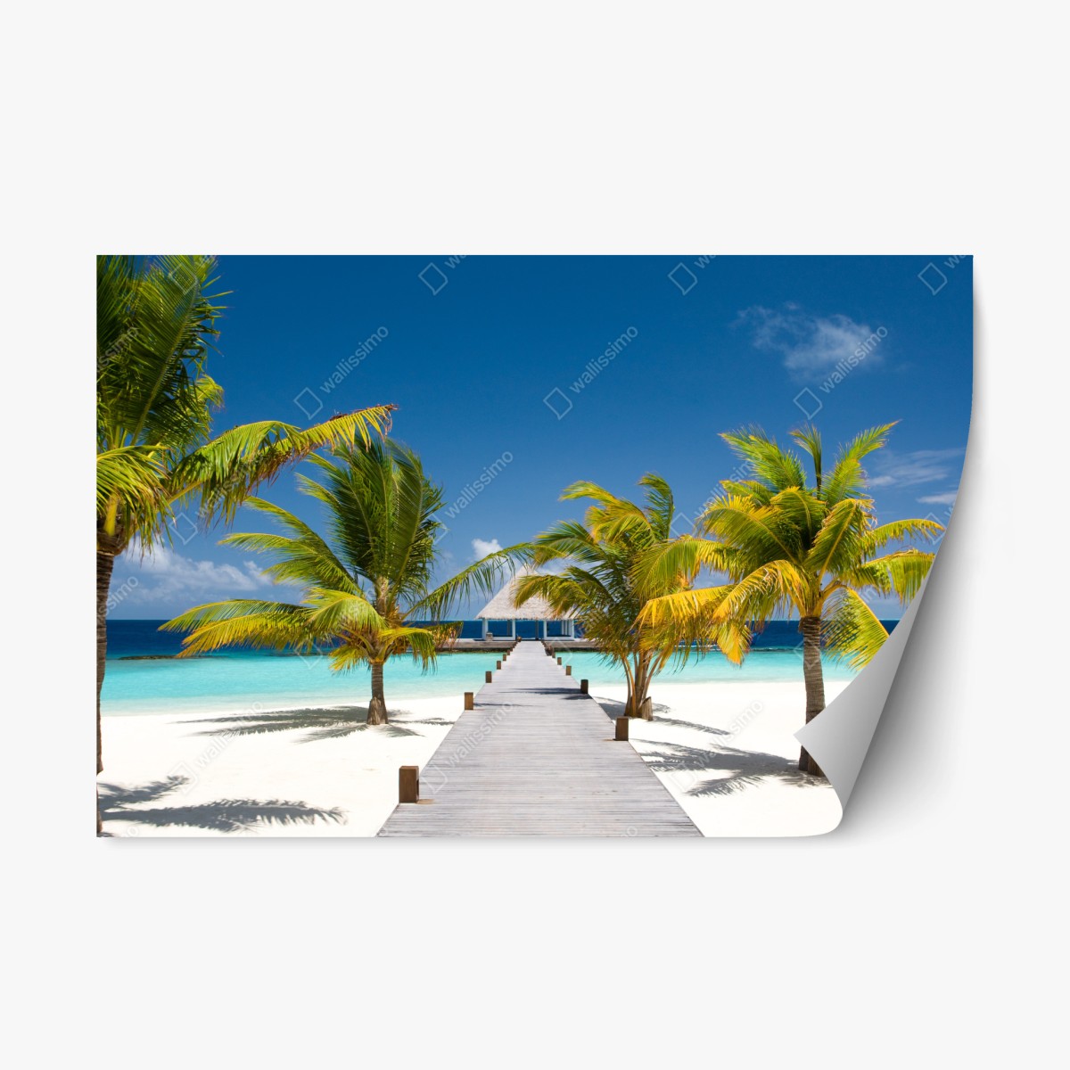 Sticker repositionnable jetée vers le paradis tropical – Wallnifity®