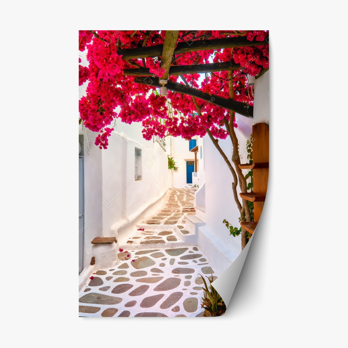 Sticker repositionnable ruelle aux bougainvilliers et pavés blancs – Wallnifity®