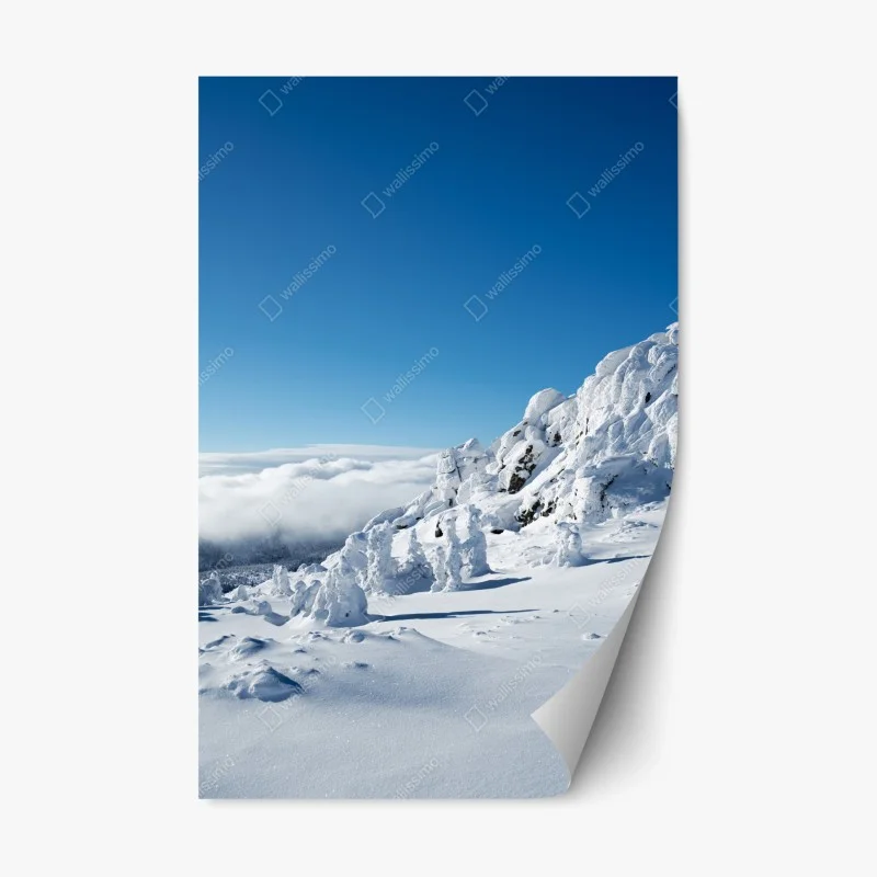Nature – Wallnifity®