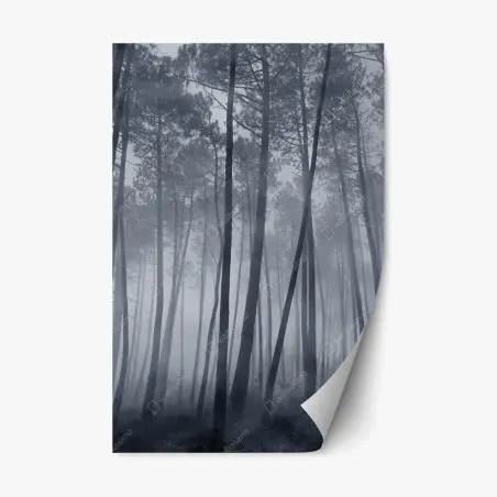 Sticker repositionnable forêt de pins embrumée la nuit – Wallnifity®