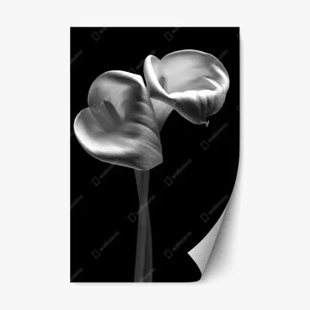 Sticker repositionnable danse élégante d'arums en noir et blanc – Wallnifity®
