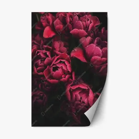 Sticker repositionnable bouquet de tulipes rouges en gros plan – Wallnifity®