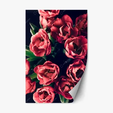 Sticker repositionnable bouquet de tulipes corail sur fond sombre – Wallnifity®