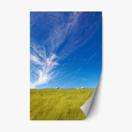 Sticker repositionnable paysage pastoral sous ciel d'azur – Wallnifity®