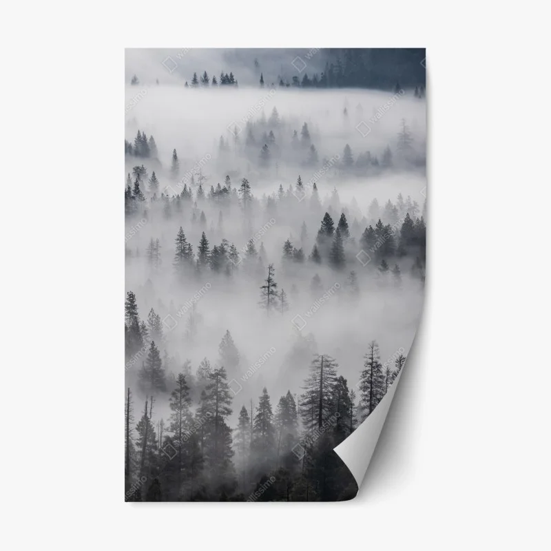 Nature – Wallnifity®