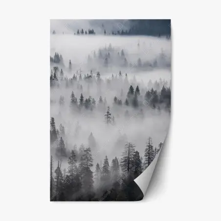 Sticker repositionnable forêt de pins enveloppée de brume – Wallnifity®