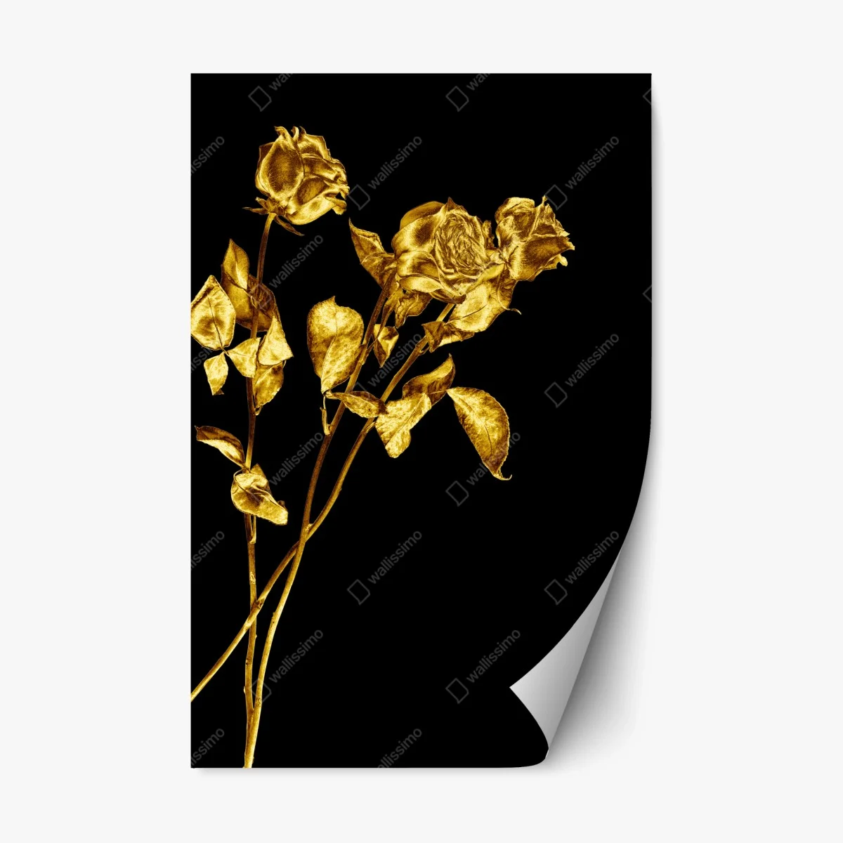 Sticker repositionnable bouquet de roses dorées sur fond noir – Wallnifity® Sticker repositionnable bouquet de roses dorées sur fond noir – Wallnifity®