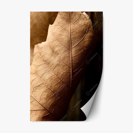 Sticker repositionnable texture de feuille sèche en gros plan – Wallnifity®