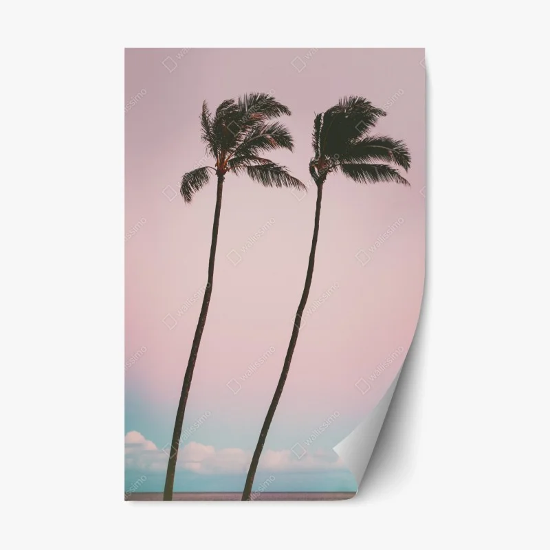 Plage – Wallnifity®