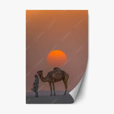 Sticker repositionnable silhouette d'un dromadaire au coucher de soleil – Wallnifity®