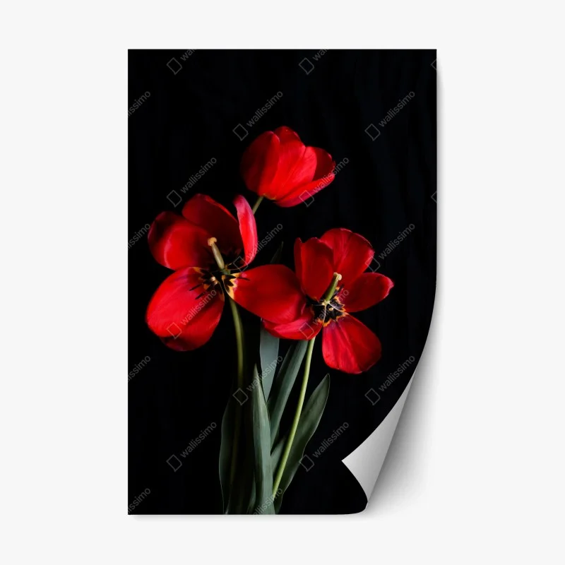 Fleurs et plantes – Wallnifity®