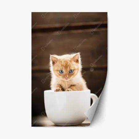 Sticker repositionnable chaton roux dans une tasse – Wallnifity®