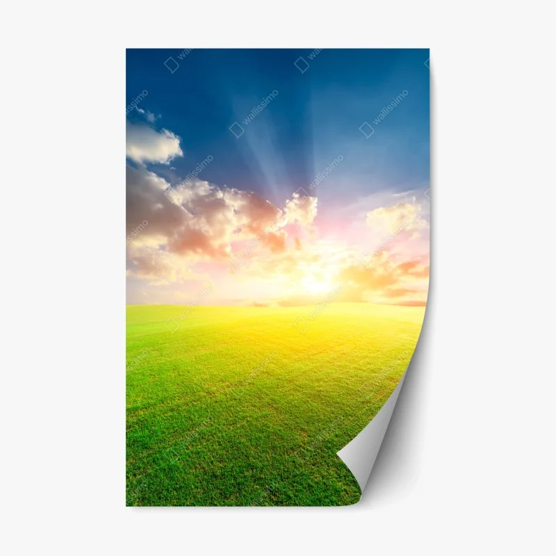 Nature – Wallnifity®