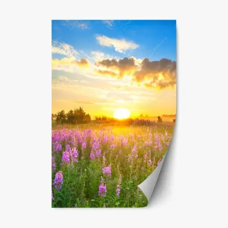 Sticker repositionnable prairie en fleurs au lever du soleil – Wallnifity®