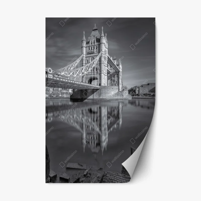 Architecture – Wallnifity®