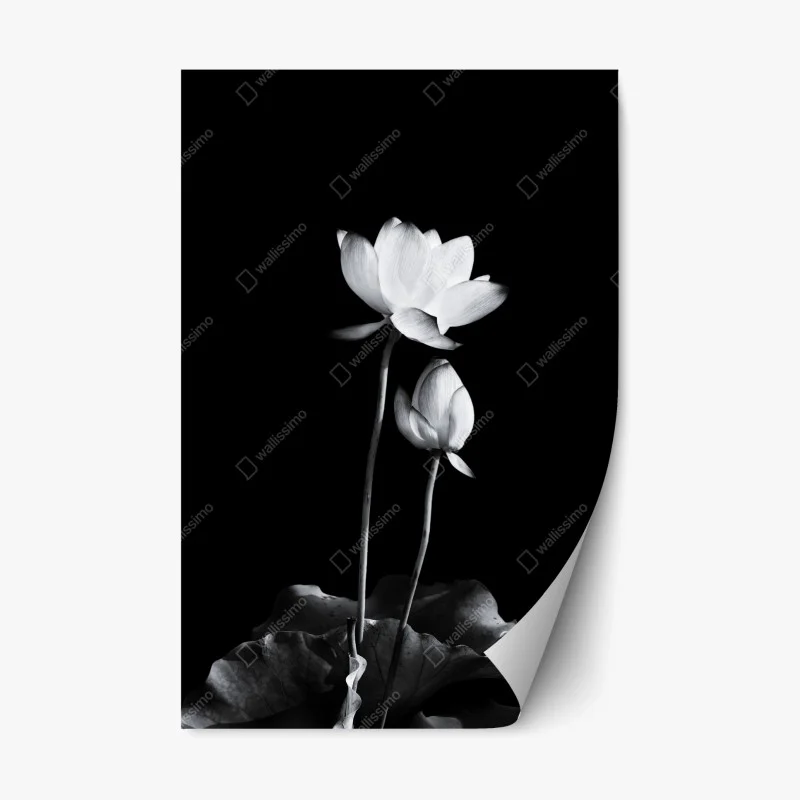 Fleurs et plantes – Wallnifity®