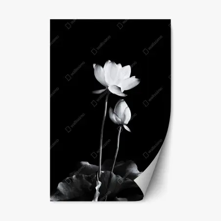 Sticker repositionnable lotus minimaliste en noir et blanc – Wallnifity®
