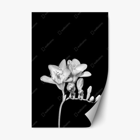 Sticker repositionnable freesia minimaliste en noir et blanc – Wallnifity®