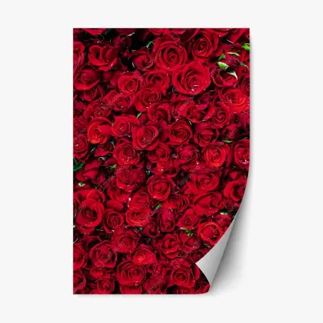 Sticker repositionnable océan de roses rouges – Wallnifity®