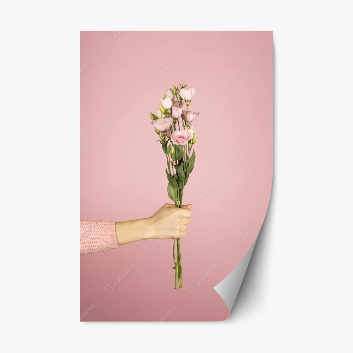 Sticker repositionnable bouquet délicat de fleurs roses sur fond rose – Wallnifity® Sticker repositionnable bouquet délicat de fleurs roses sur fond rose – Wallnifity®