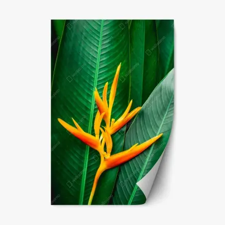 Sticker repositionnable fleur tropicale oiseau de paradis sur feuillage vert – Wallnifity®