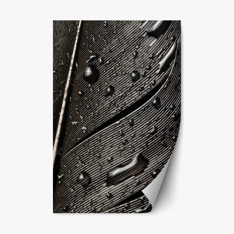 Autocollants – Wallnifity®