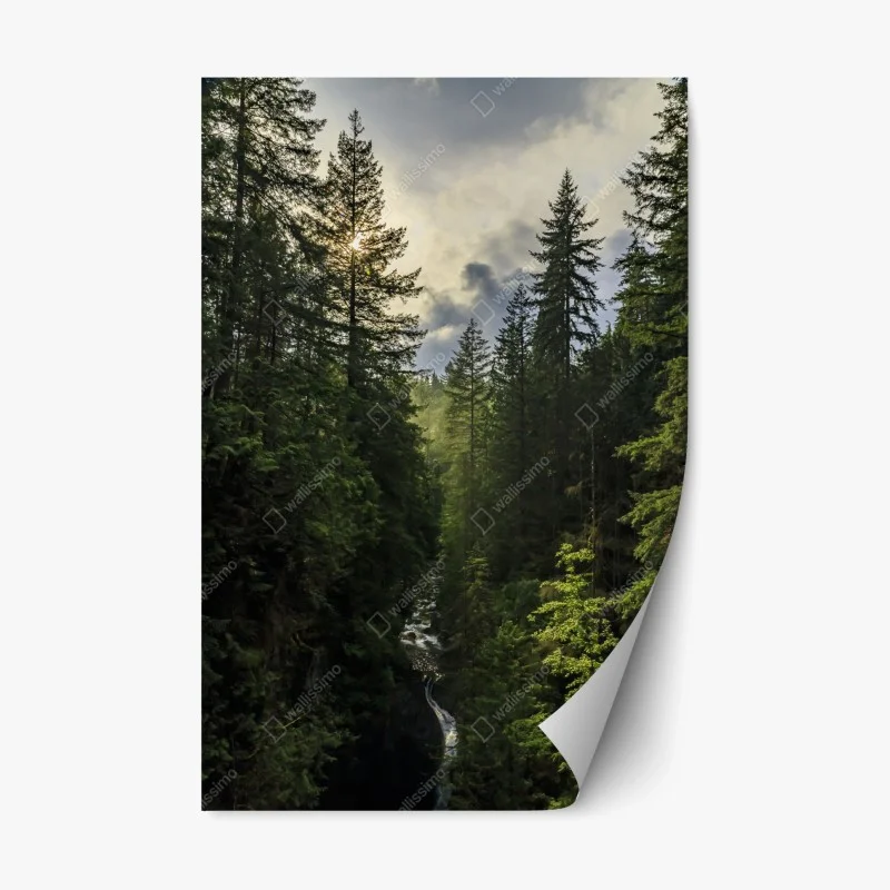 Nature – Wallnifity®