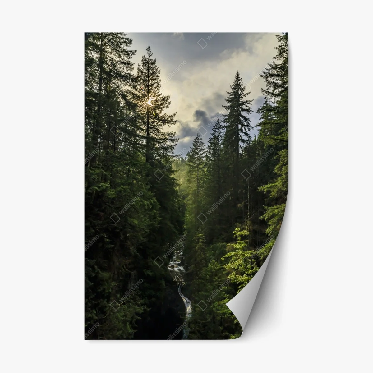 Sticker repositionnable paysage forestier: cascade entre les sapins – Wallnifity® Sticker repositionnable paysage forestier: cascade entre les sapins – Wallnifity®