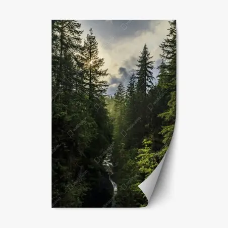 Sticker repositionnable paysage forestier: cascade entre les sapins – Wallnifity®