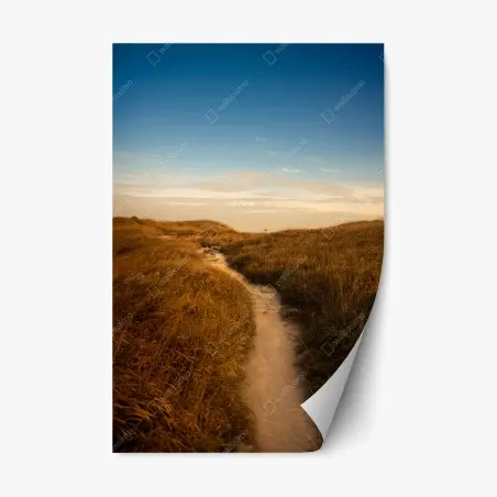Sticker repositionnable chemin de dunes aux tons dorés – Wallnifity®