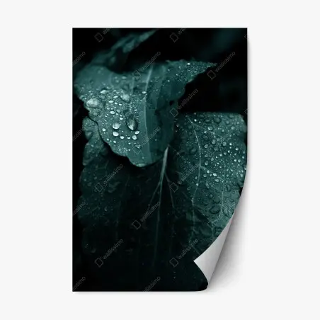 Sticker repositionnable feuilles perlées de rosée – Wallnifity®