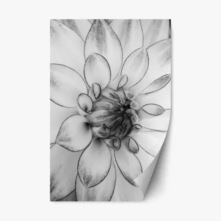 Sticker repositionnable éclosion florale en noir et blanc – Wallnifity®