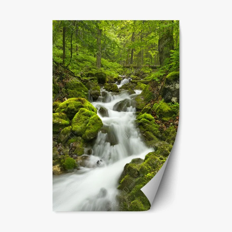 Sticker repositionnable cascade féerique de Slovenský Raj – Wallnifity® Sticker repositionnable cascade féerique de Slovenský Raj – Wallnifity®