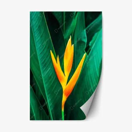 Sticker repositionnable fleur tropicale orange sur feuillage vert – Wallnifity®