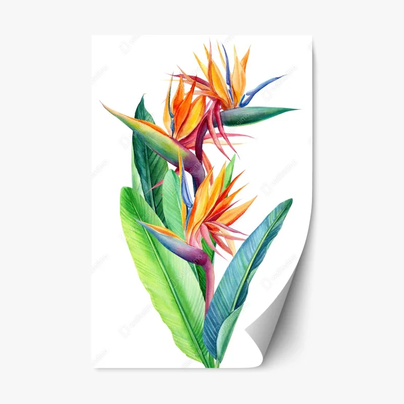 Fleurs et plantes – Wallnifity®