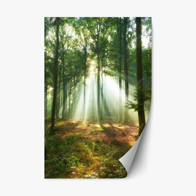 Nature – Wallnifity®