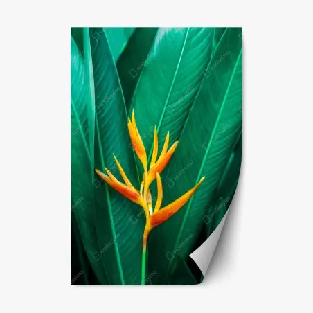 Sticker repositionnable fleur tropicale orange sur feuillage vert – Wallnifity®