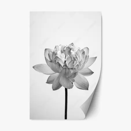 Sticker repositionnable fleur de lotus monochrome élégante – Wallnifity®