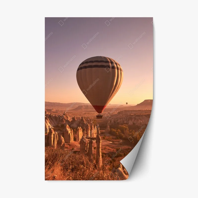 Stickers repositionnables – Wallnifity®