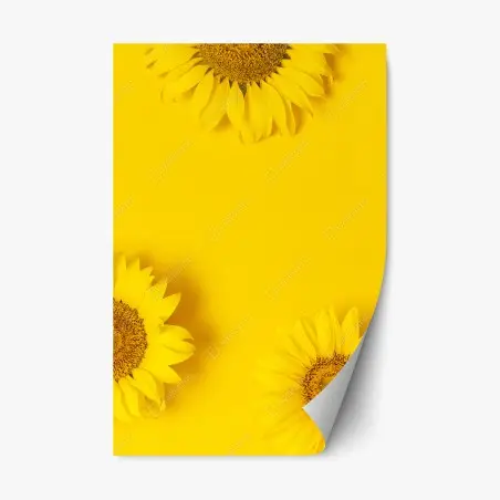 Sticker repositionnable éclat de tournesols sur fond jaune – Wallnifity®