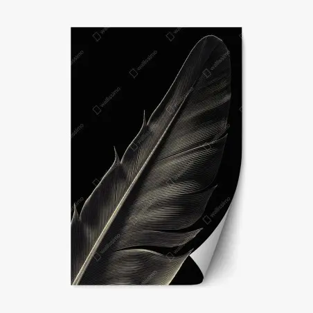 Sticker repositionnable plume délicate en noir et blanc – Wallnifity®