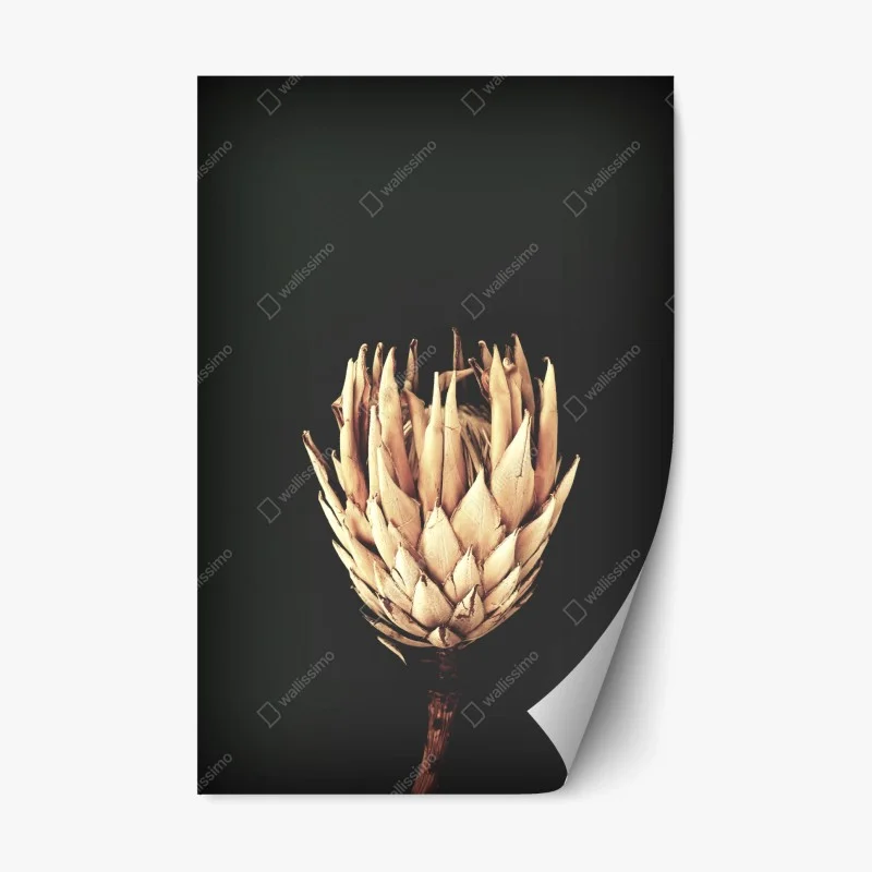 Sticker repositionnable fleur séchée minimaliste sur fond sombre – Wallnifity® Sticker repositionnable fleur séchée minimaliste sur fond sombre – Wallnifity®