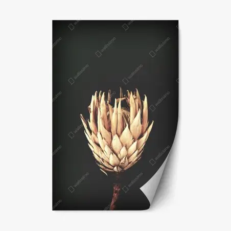 Sticker repositionnable fleur séchée minimaliste sur fond sombre – Wallnifity®