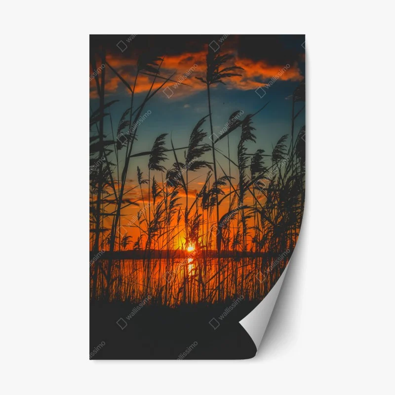 Nature – Wallnifity®