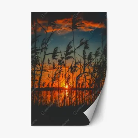 Sticker repositionnable silhouettes de roseaux au coucher de soleil – Wallnifity®