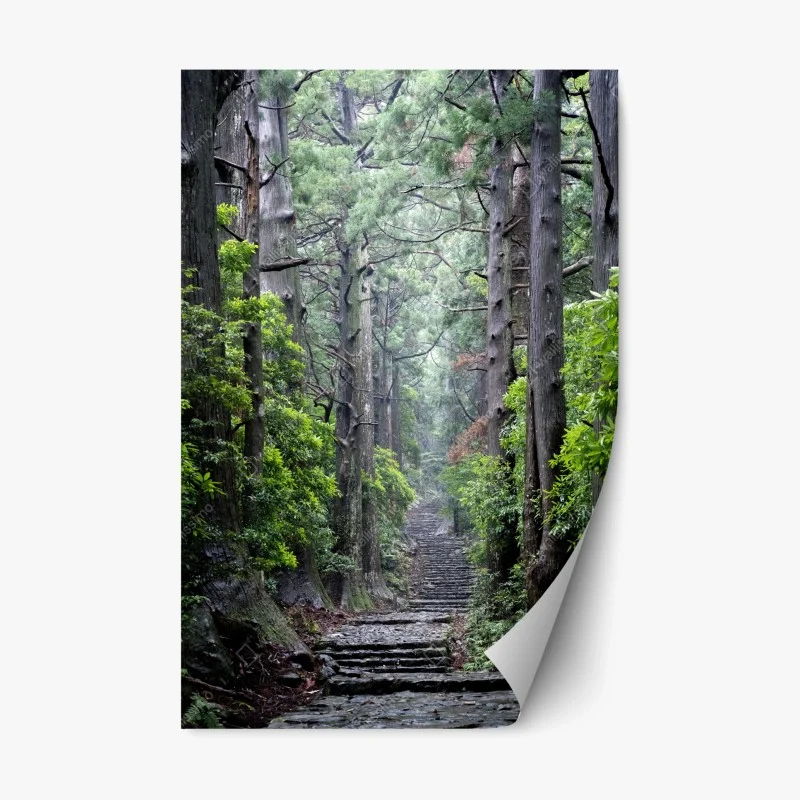 Nature – Wallnifity®