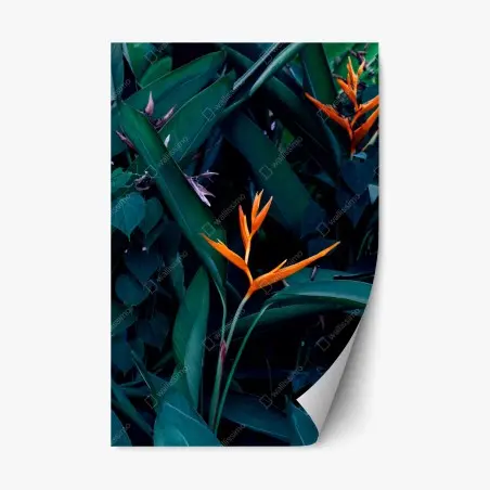 Sticker repositionnable fleur tropicale orange sur feuillage luxuriant – Wallnifity®