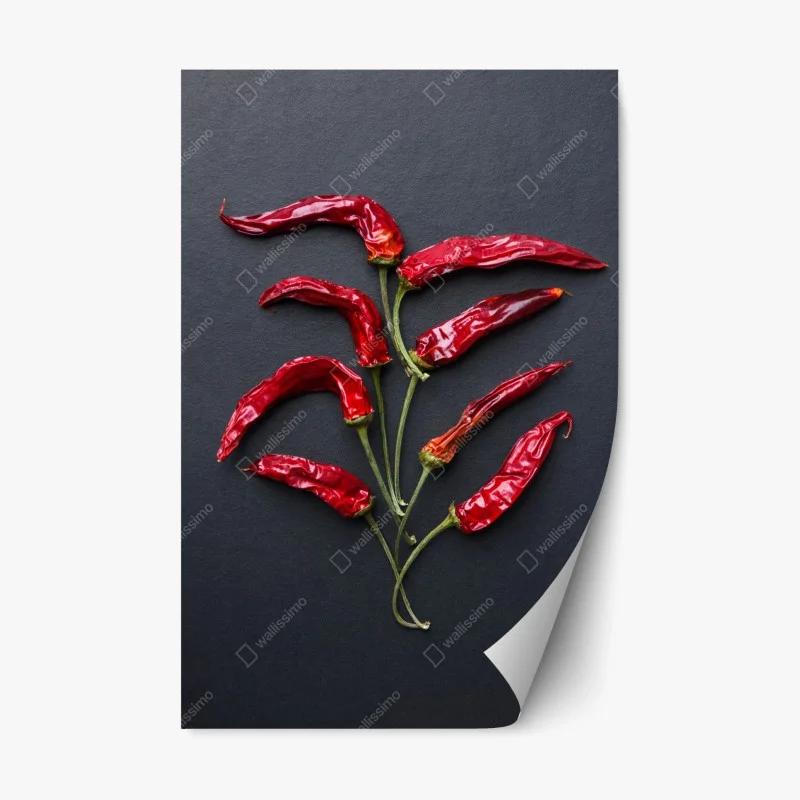 Sticker repositionnable arbre de piments rouges séchés sur fond noir – Wallnifity®