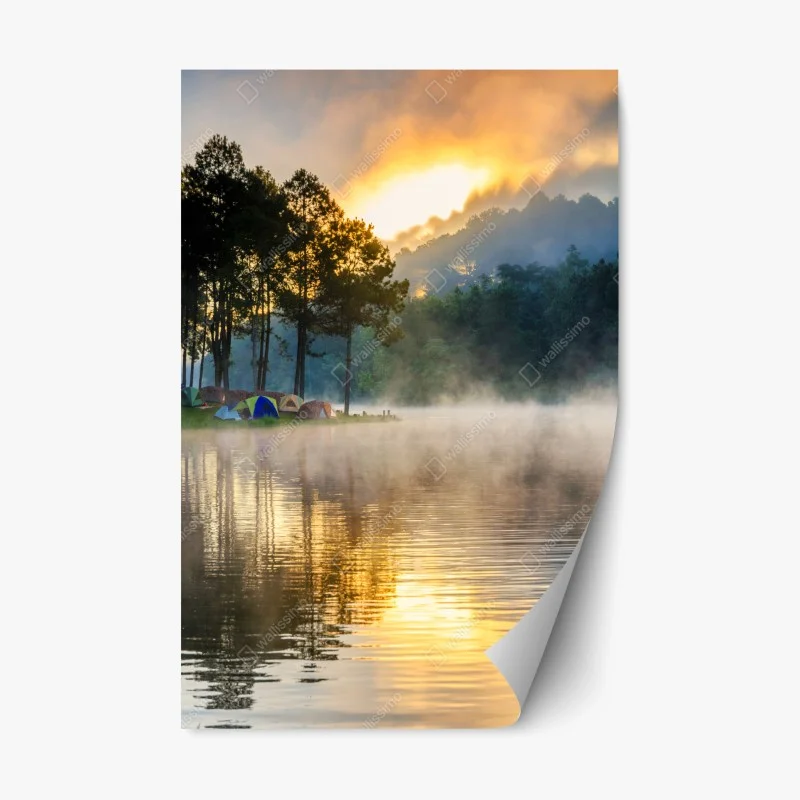 Nature – Wallnifity®