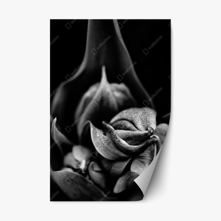 Sticker repositionnable élégance florale en noir et blanc – Wallnifity®